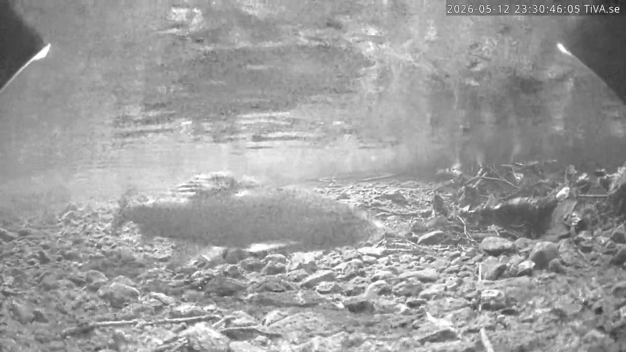 Video 2026-05-12 23:30