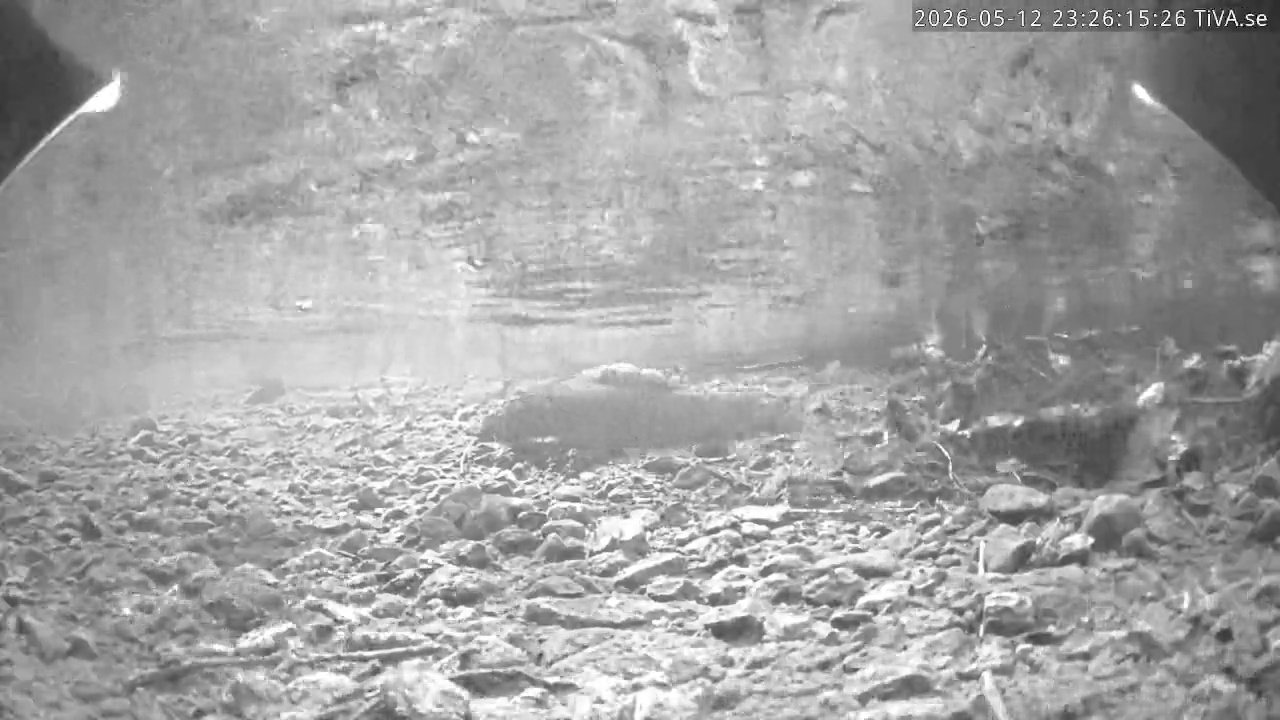 Video 2026-05-12 23:26