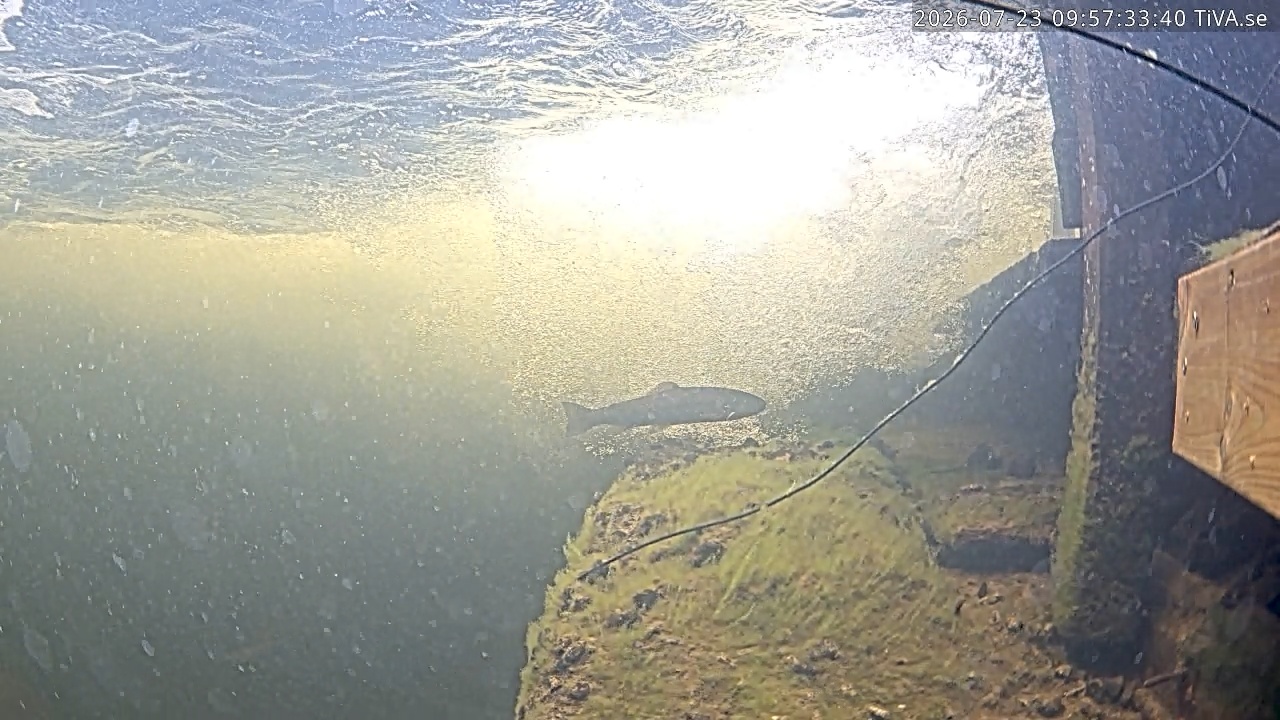 Video 2026-07-23 09:57