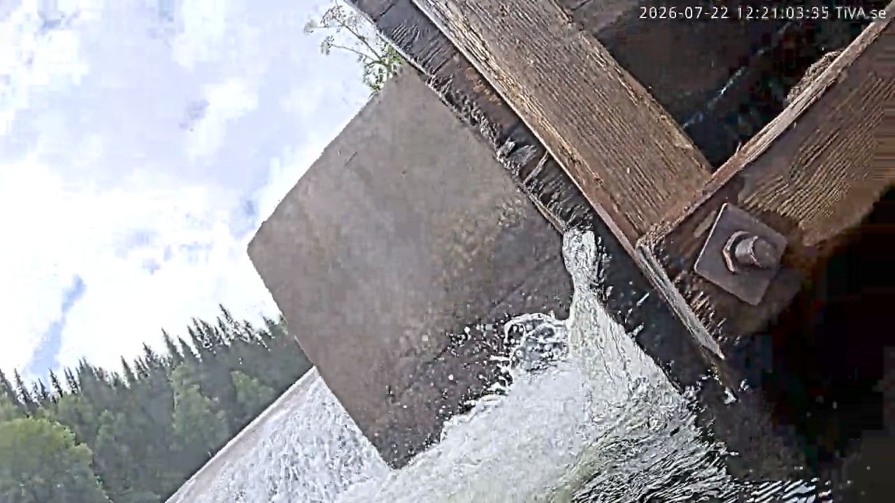 Video 2026-07-22 12:21