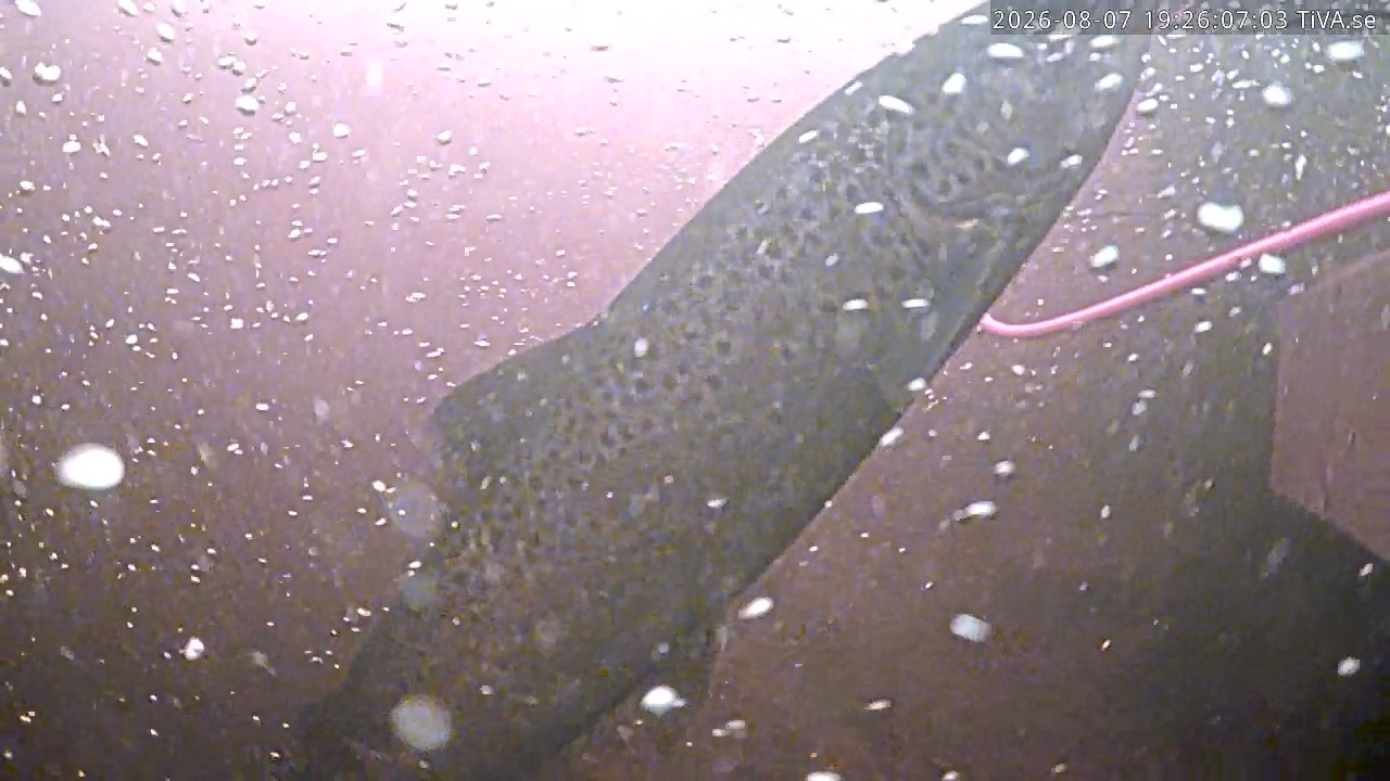 Video 2026-08-07 19:26