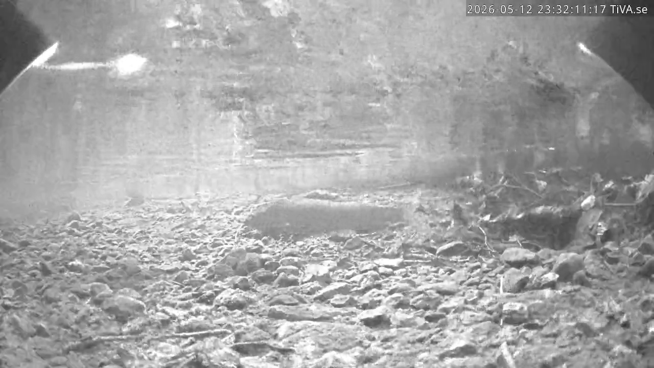 Video 2026-05-12 23:32