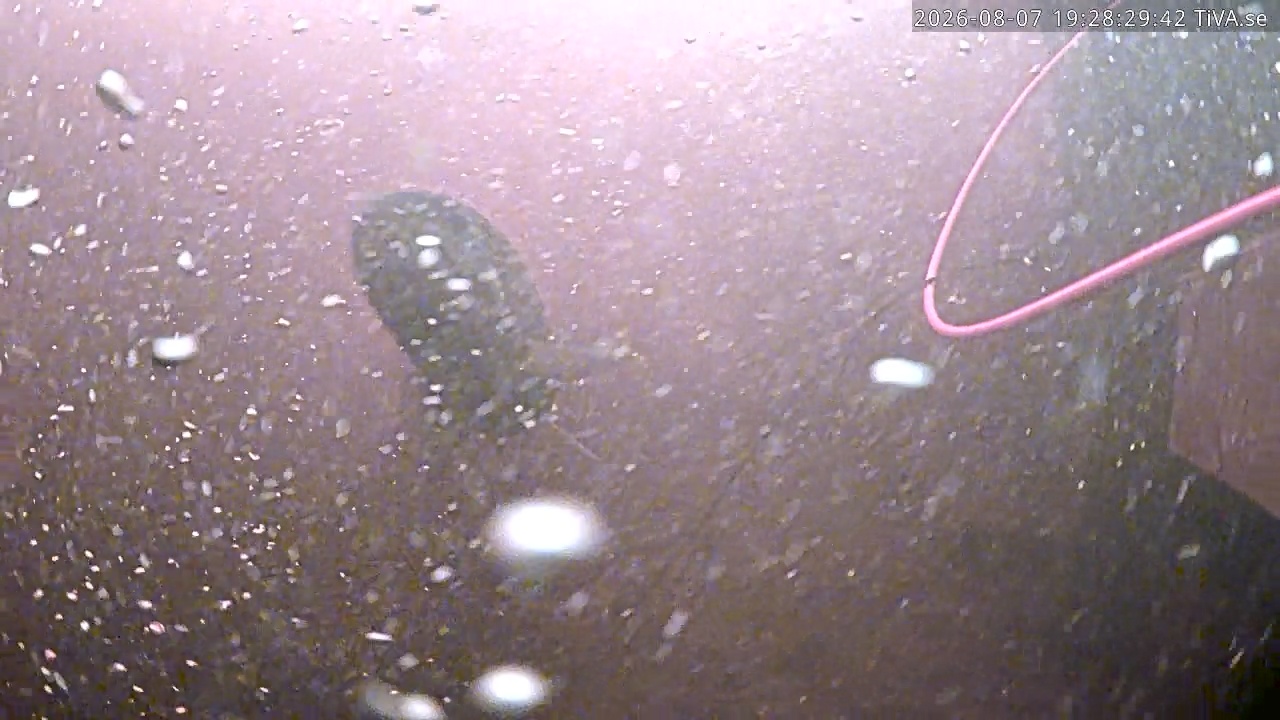 Video 2026-08-07 19:28