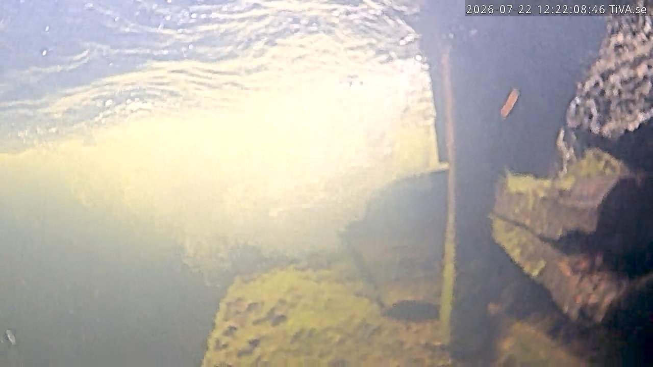 Video 2026-07-22 12:22