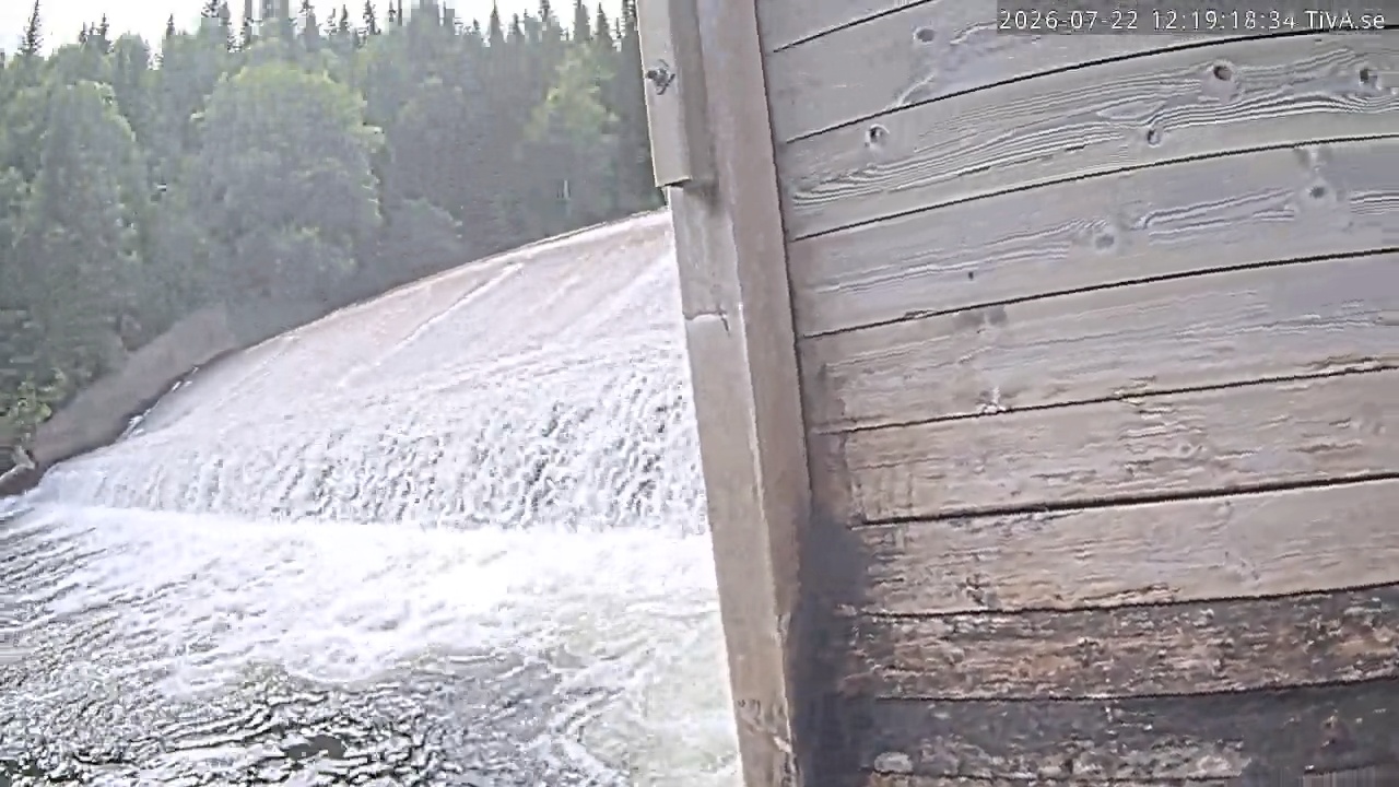 Video 2026-07-22 12:19
