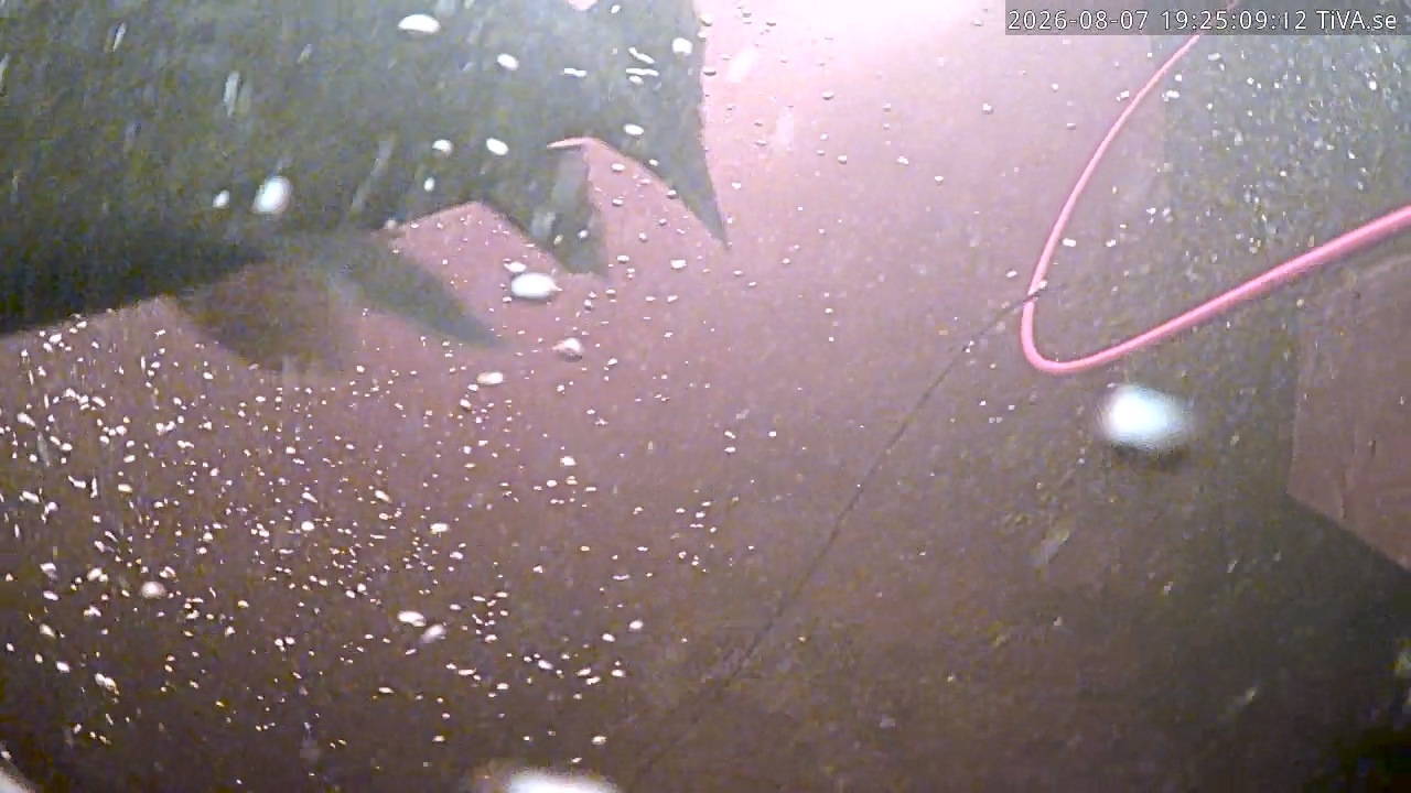 Video 2026-08-07 19:25