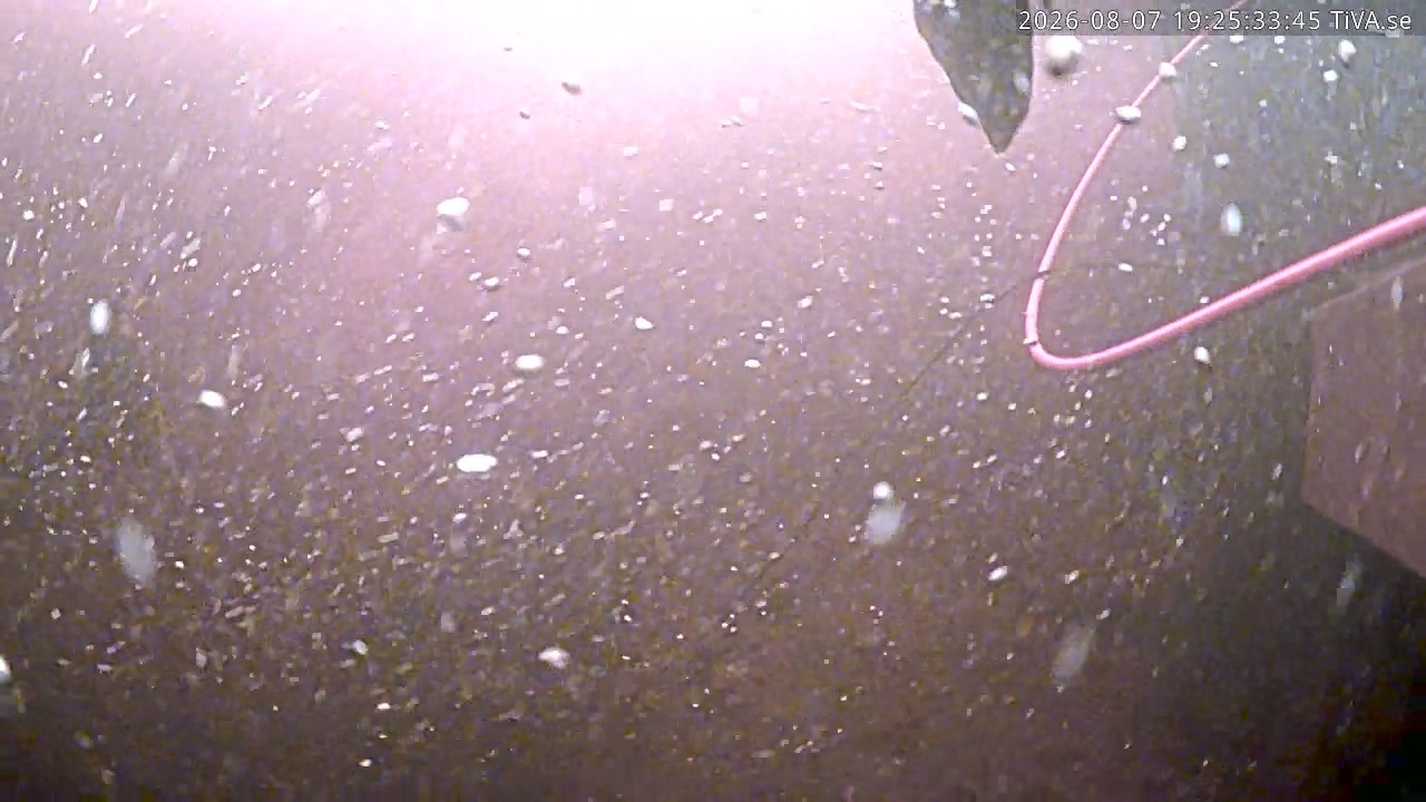 Video 2026-08-07 19:26