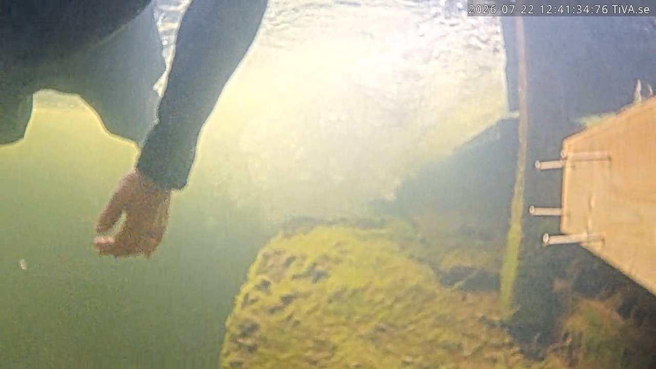 Video 2026-07-22 12:41