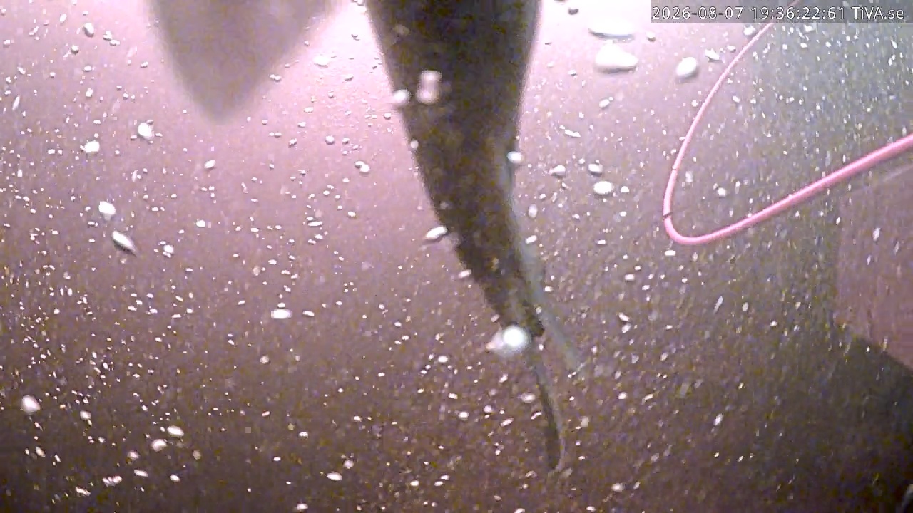 Video 2026-08-07 19:36