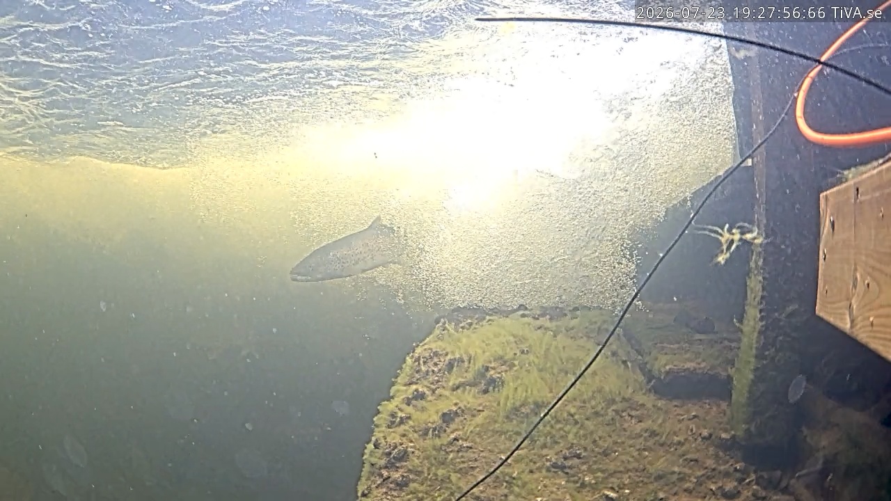 Video 2026-07-23 19:28