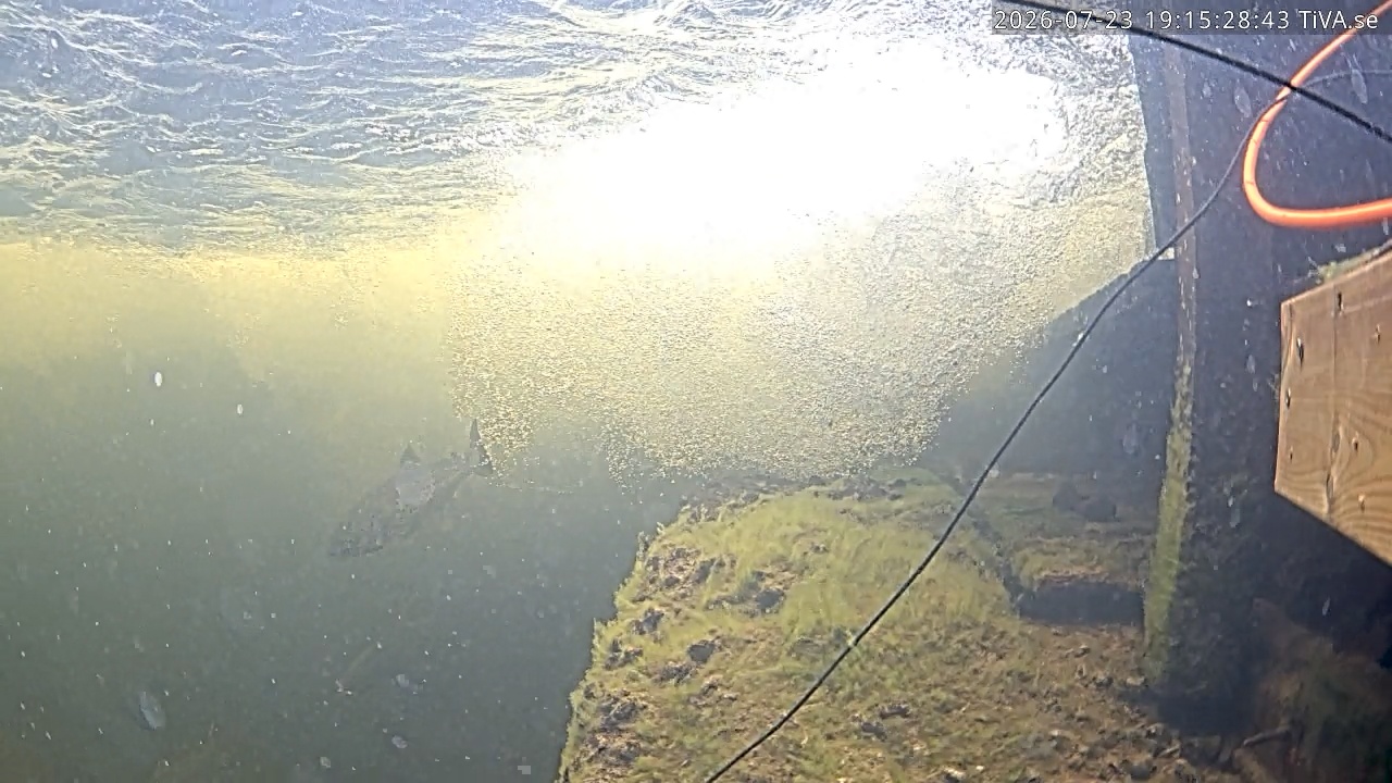 Video 2026-07-23 19:15