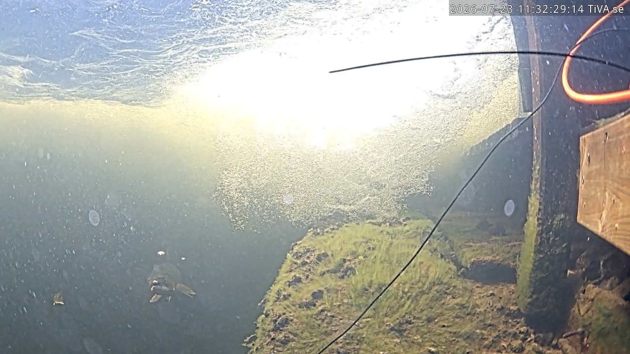 Video 2026-07-23 11:32