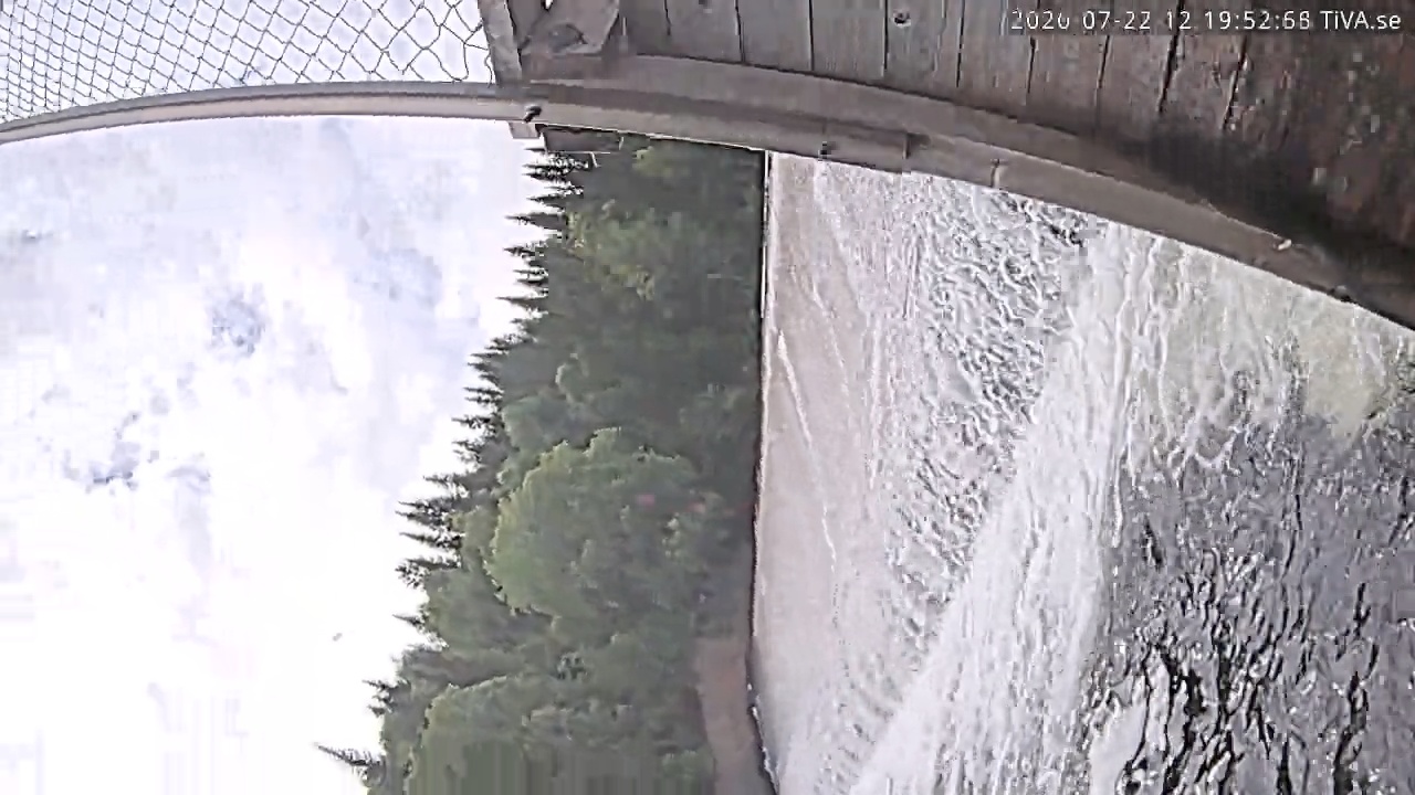 Video 2026-07-22 12:19