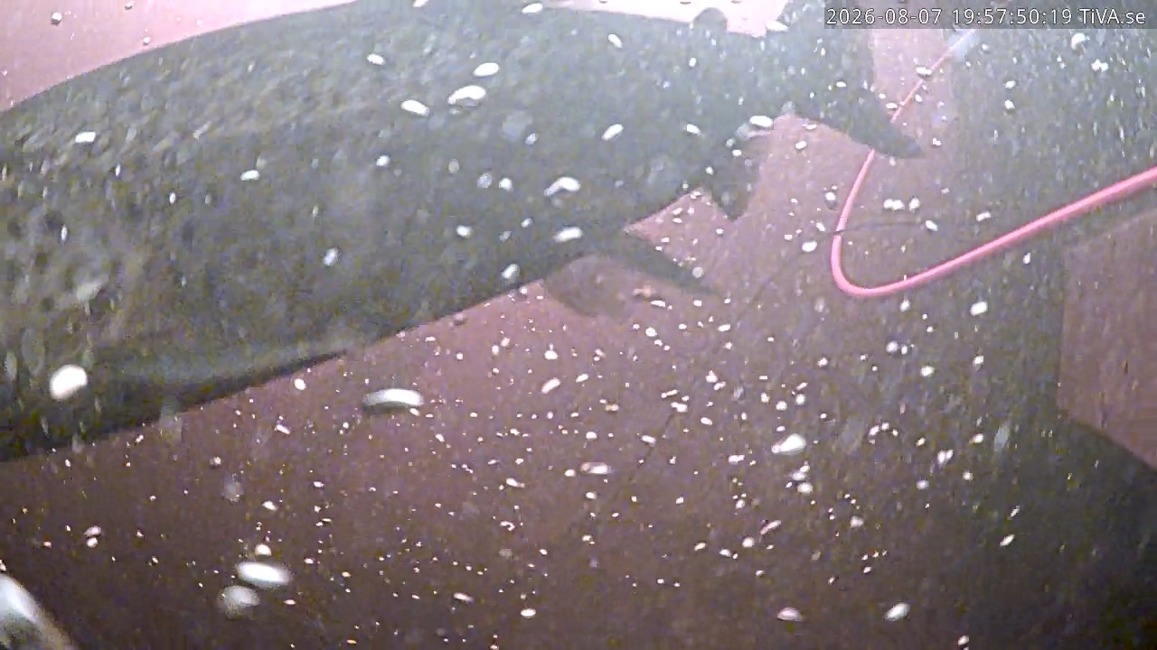 Video 2026-08-07 19:57