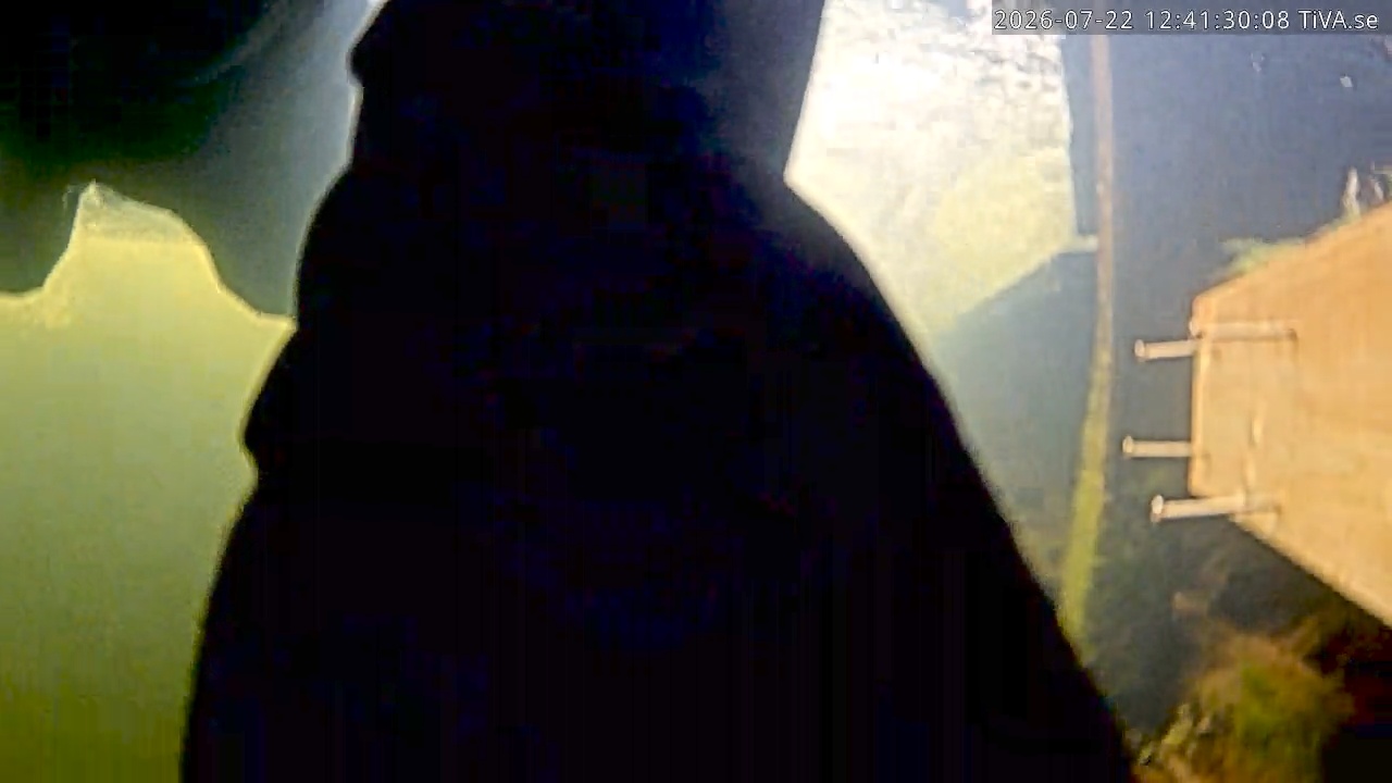 Video 2026-07-22 12:41