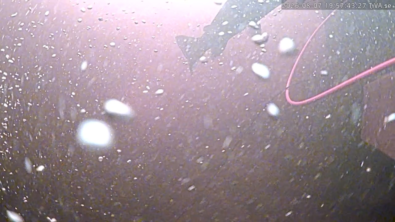 Video 2026-08-07 19:57