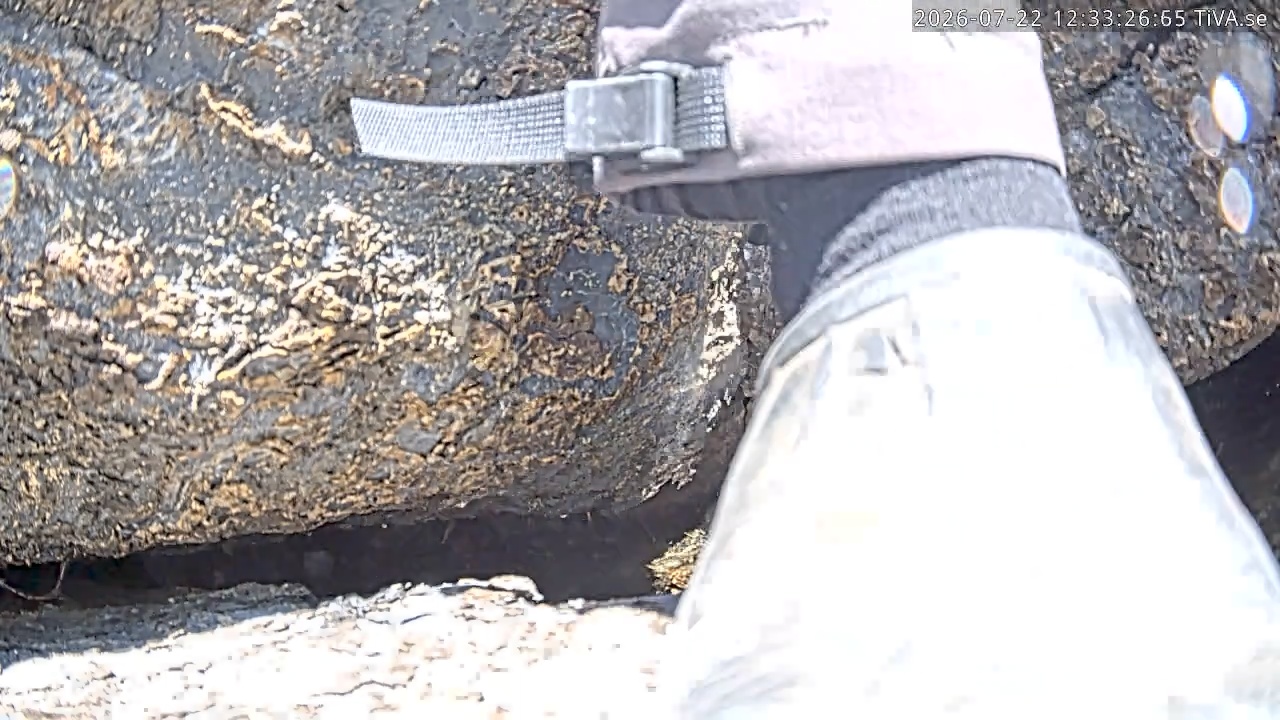 Video 2026-07-22 12:33