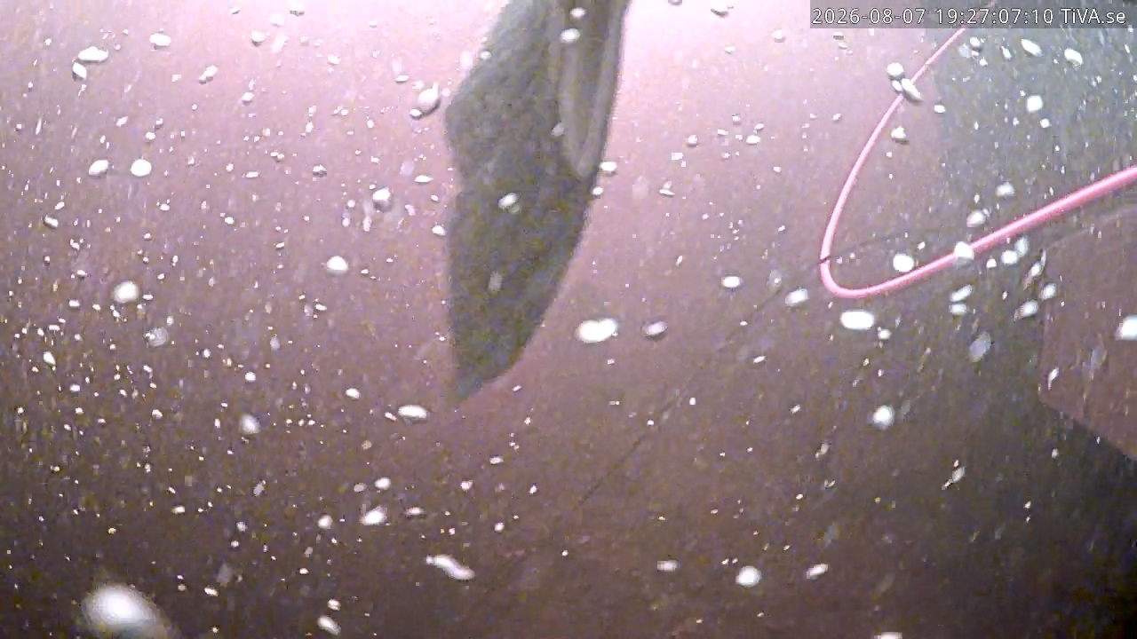 Video 2026-08-07 19:27