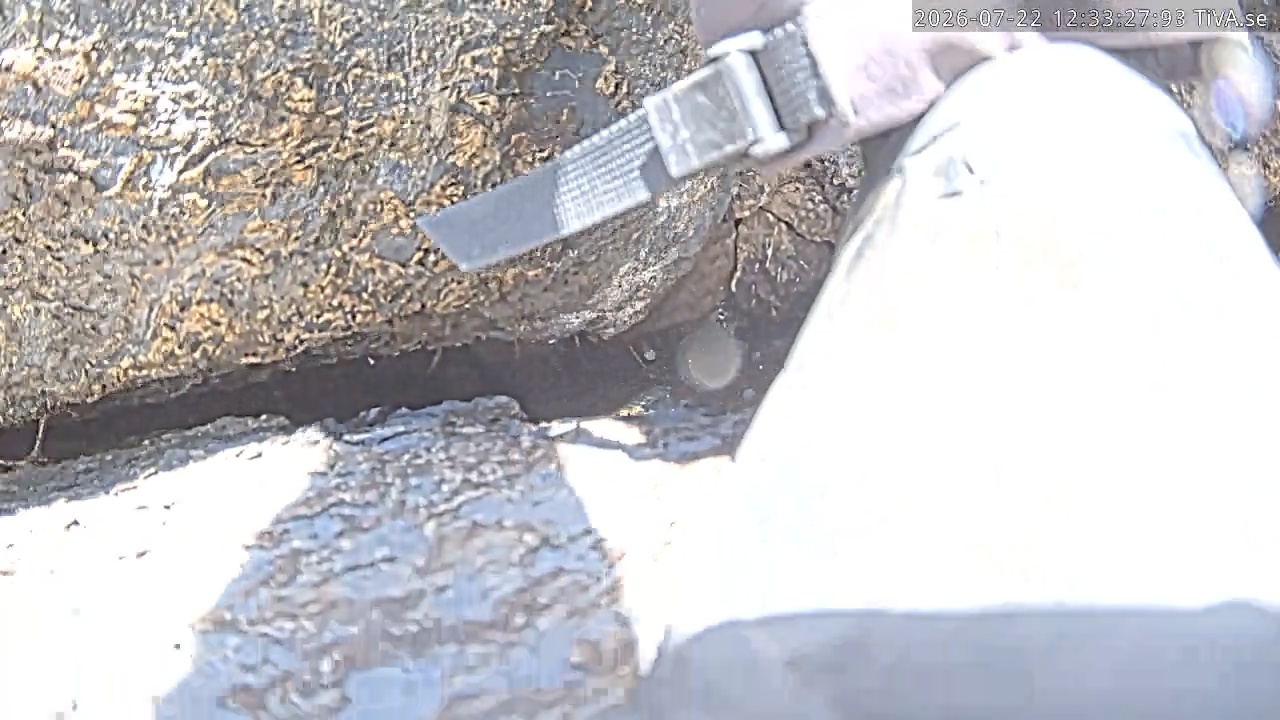 Video 2026-07-22 12:33