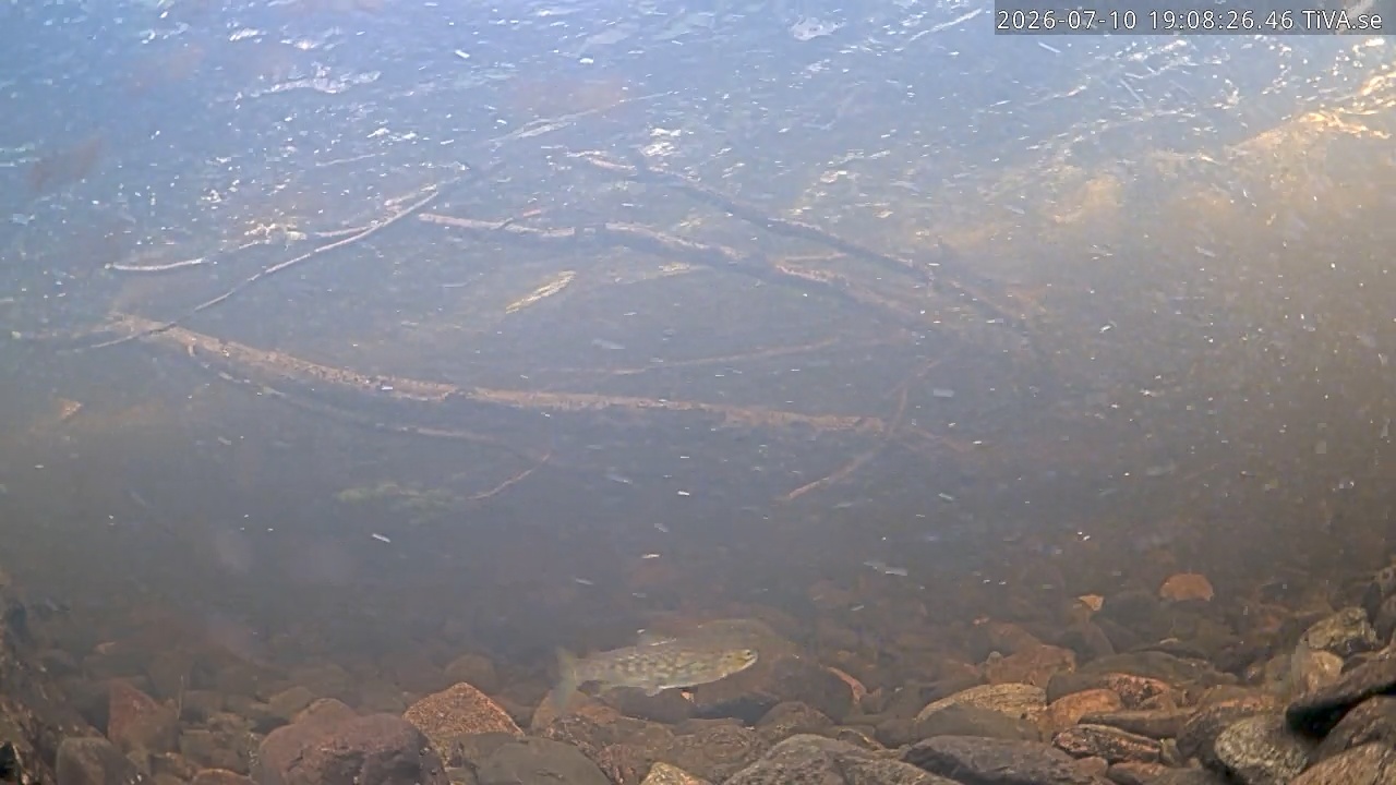 Video 2026-07-10 19:08