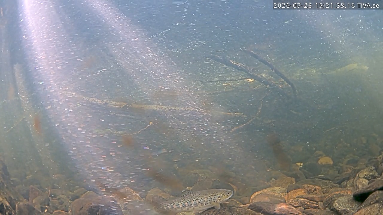 Video 2026-07-23 15:22