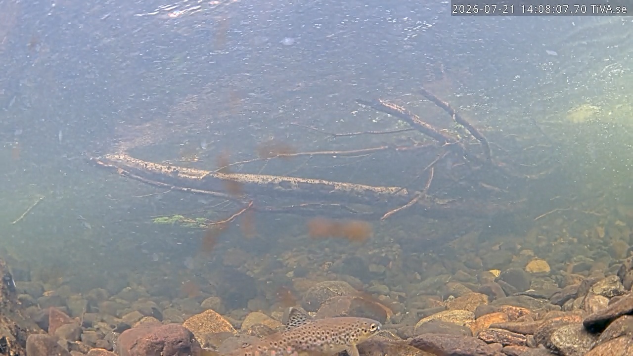 Video 2026-07-21 14:14