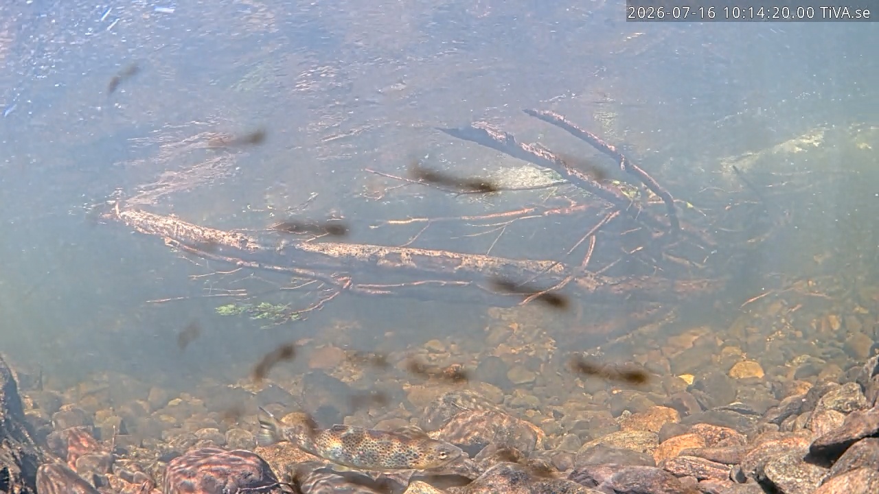 Video 2026-07-16 10:14