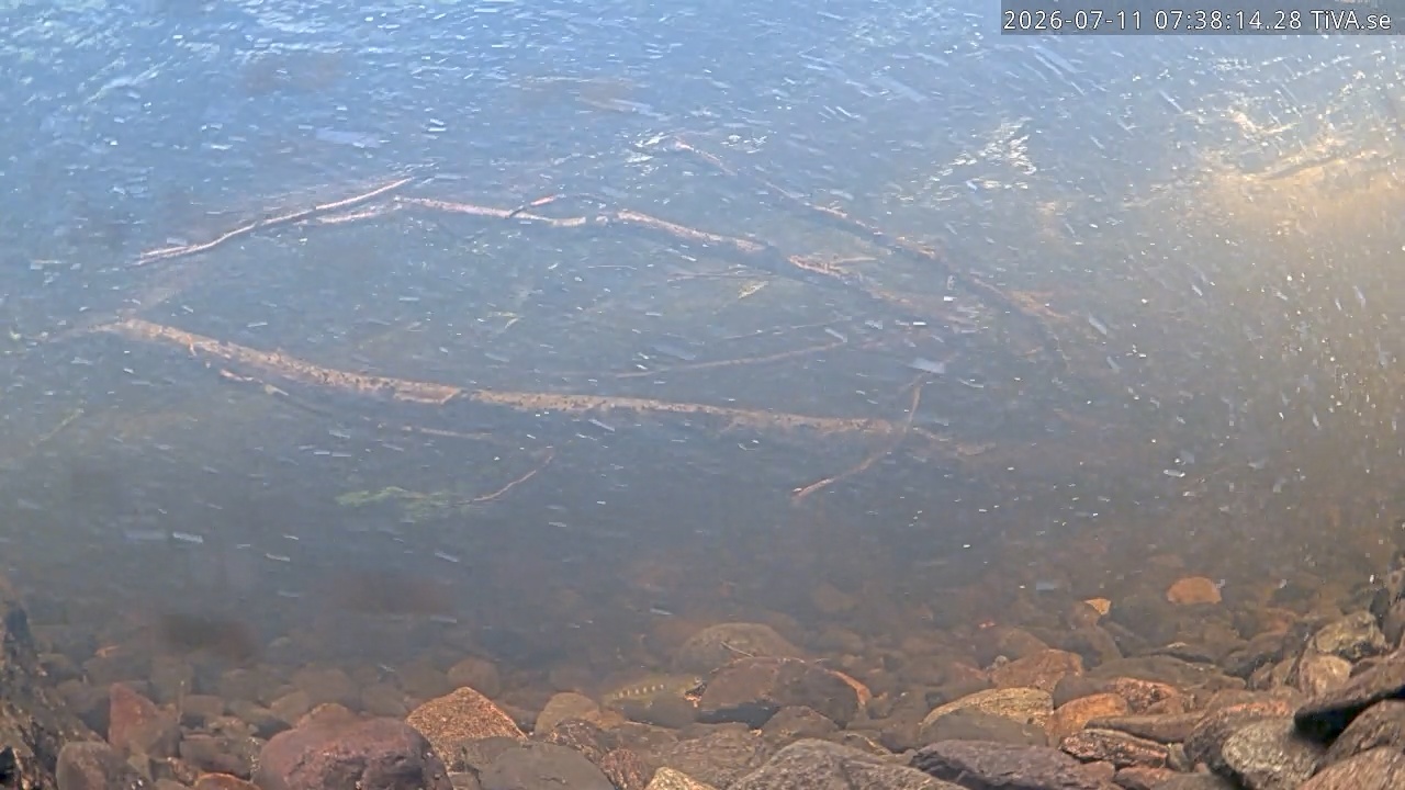 Video 2026-07-11 07:38