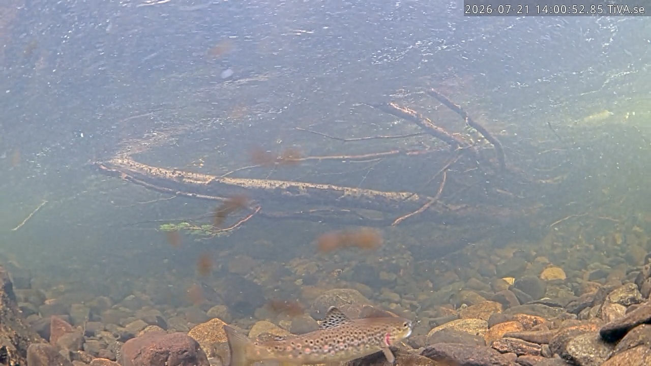 Video 2026-07-21 14:02