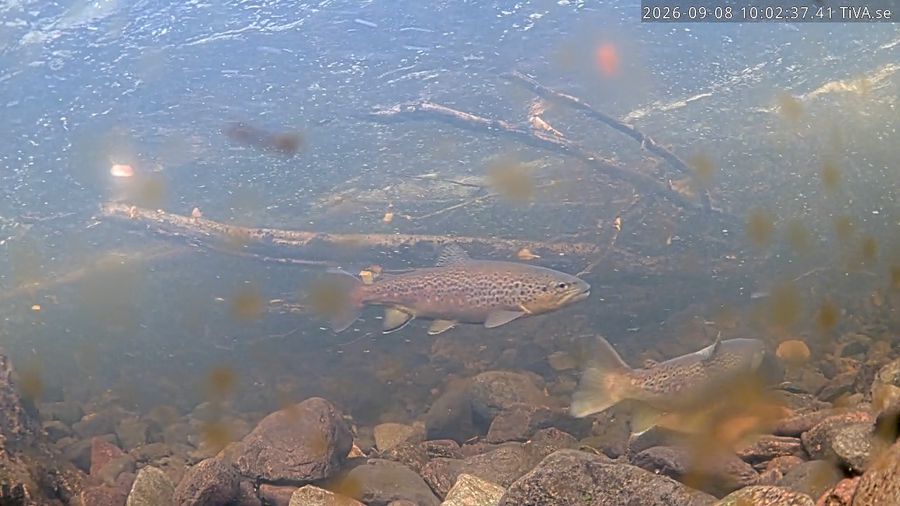 Video 2026-09-08 10:02