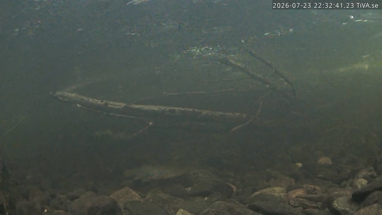Video 2026-07-23 22:32