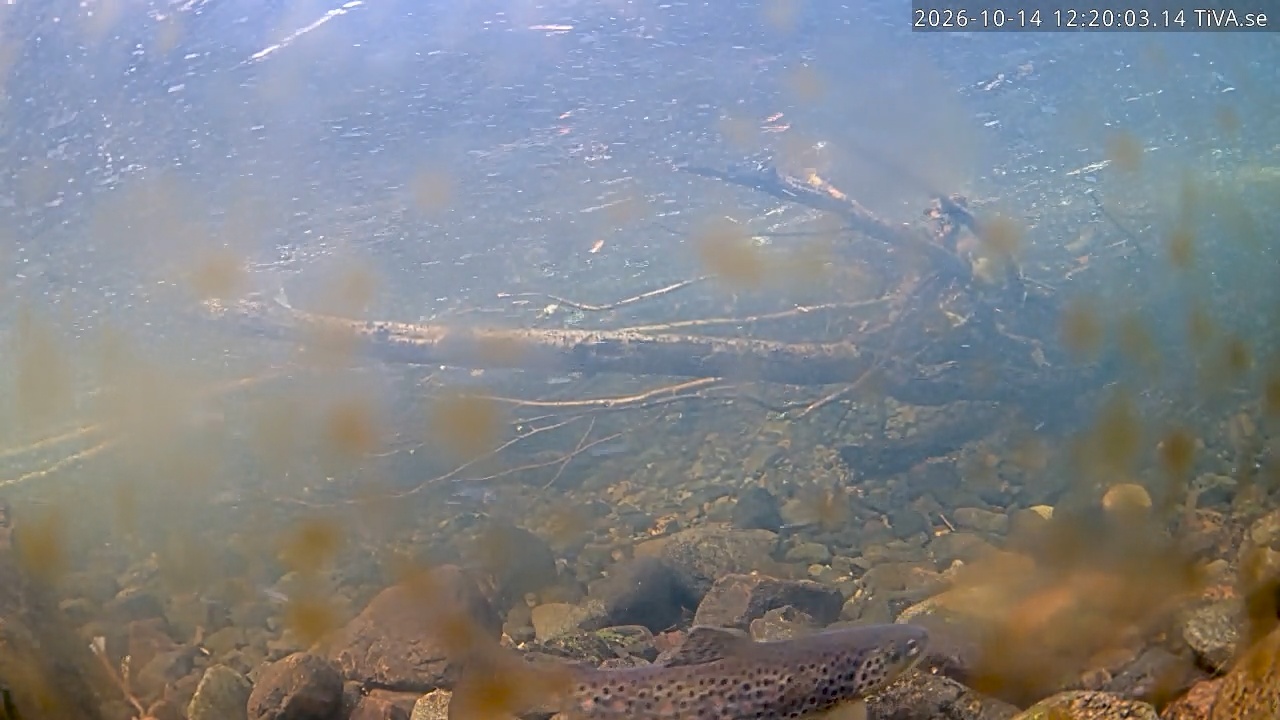 Video 2026-10-14 12:20