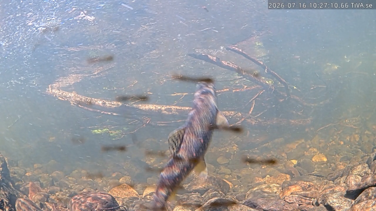 Video 2026-07-16 10:27