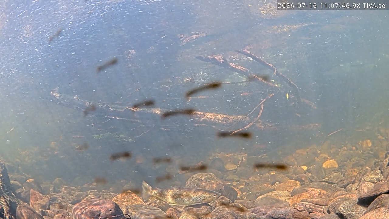 Video 2026-07-16 11:07