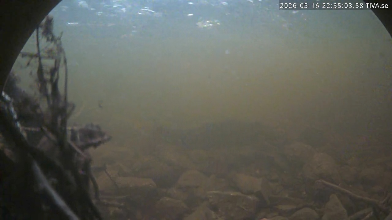 Video 2026-05-16 22:35