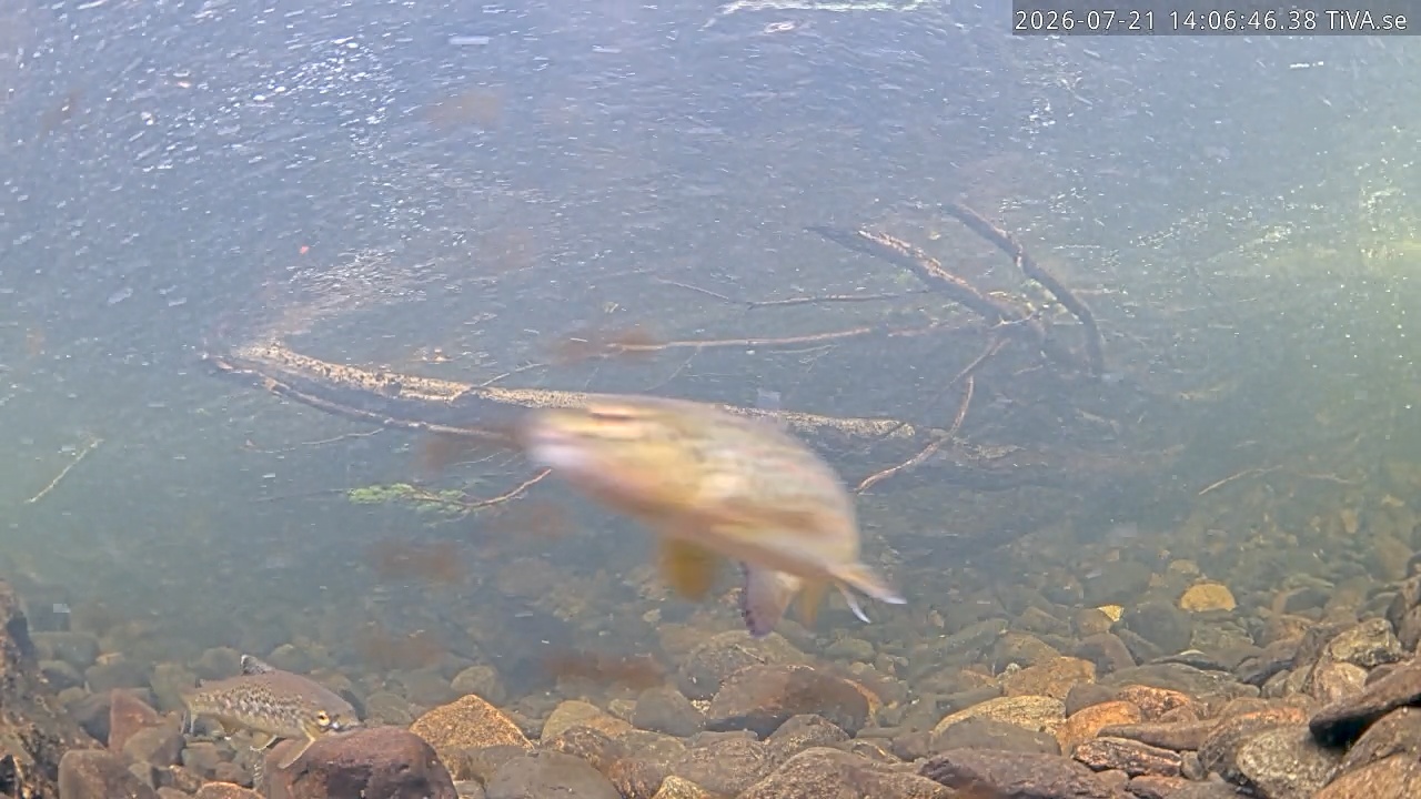 Video 2026-07-21 14:06