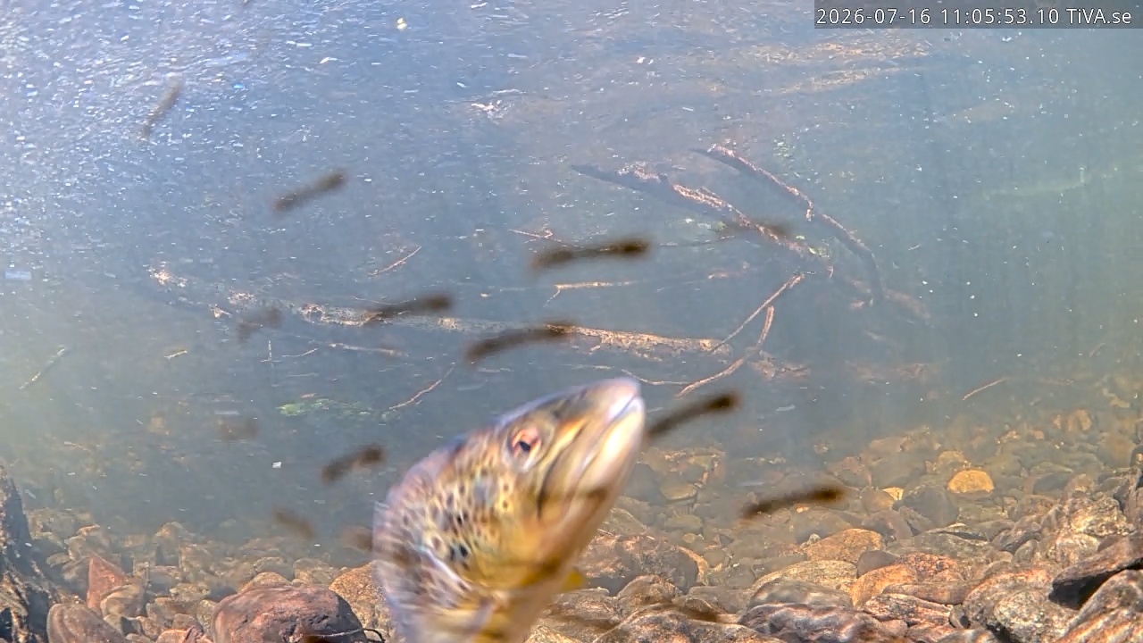 Video 2026-07-16 11:05