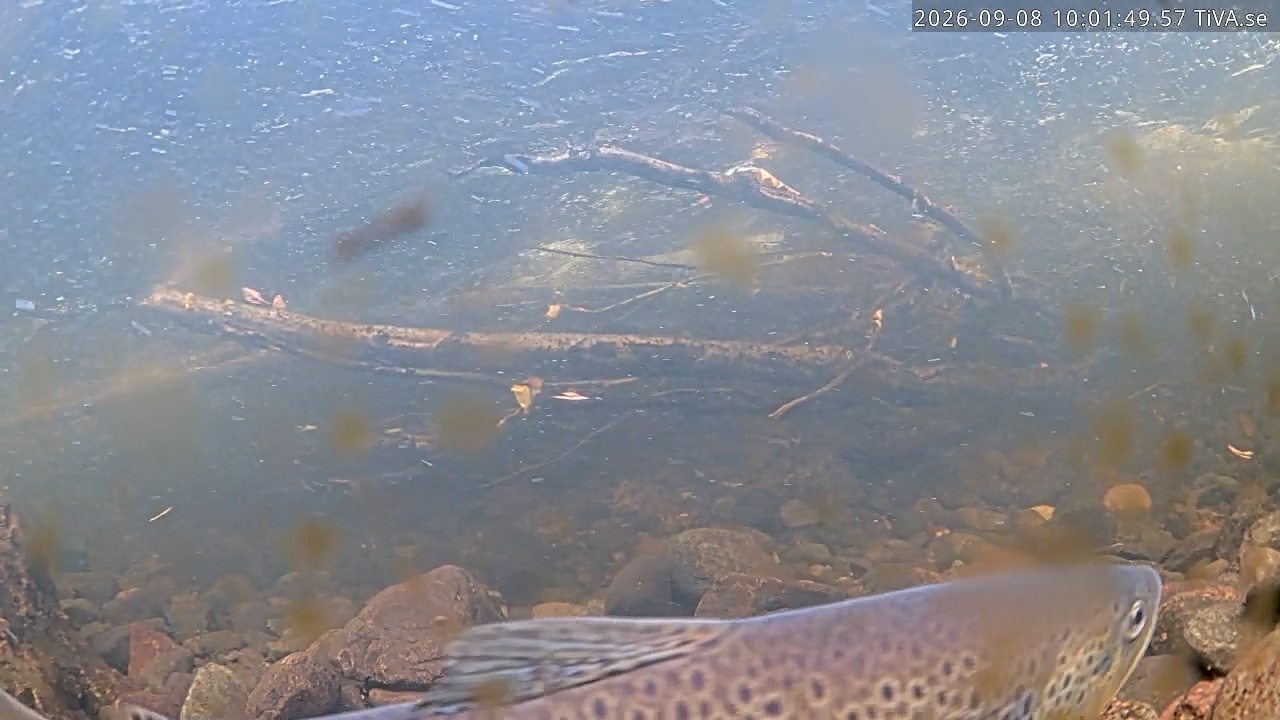 Video 2026-09-08 10:01