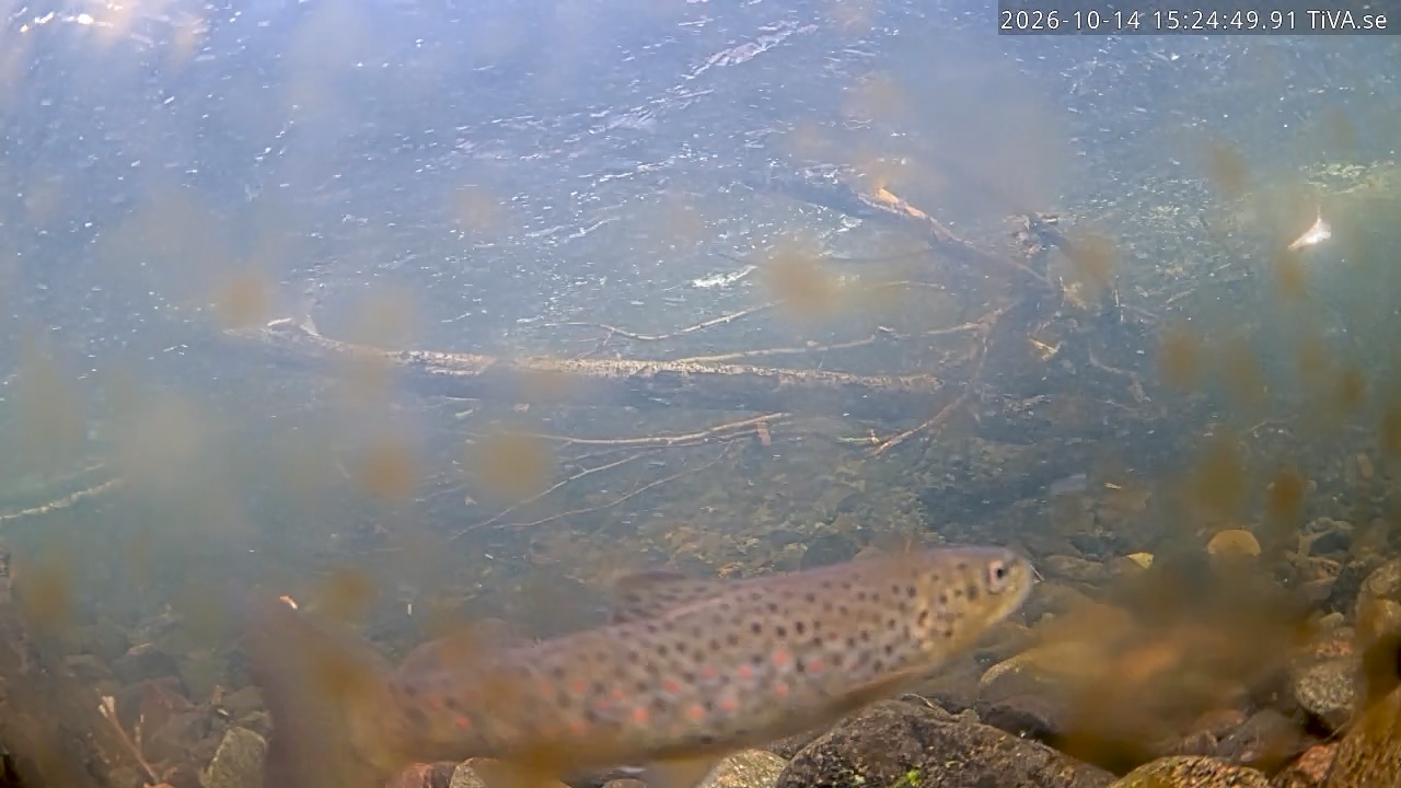 Video 2026-10-14 15:24
