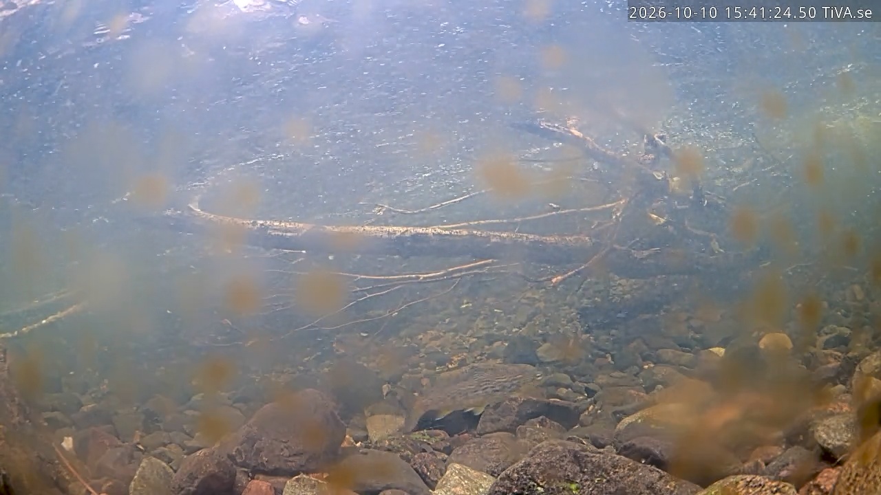 Video 2026-10-10 15:41