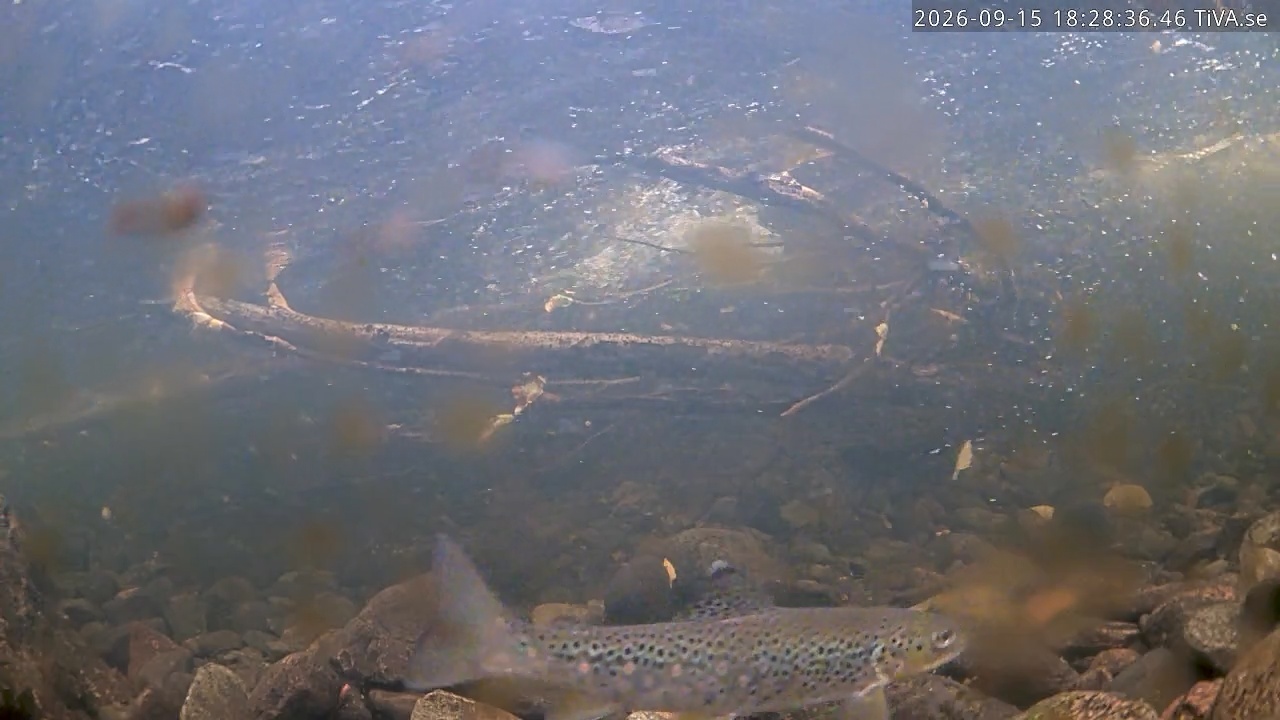 Video 2026-09-15 18:28