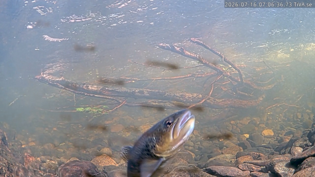 Video 2026-07-16 07:06