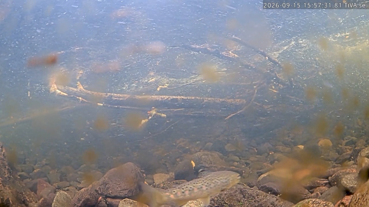 Video 2026-09-15 15:57