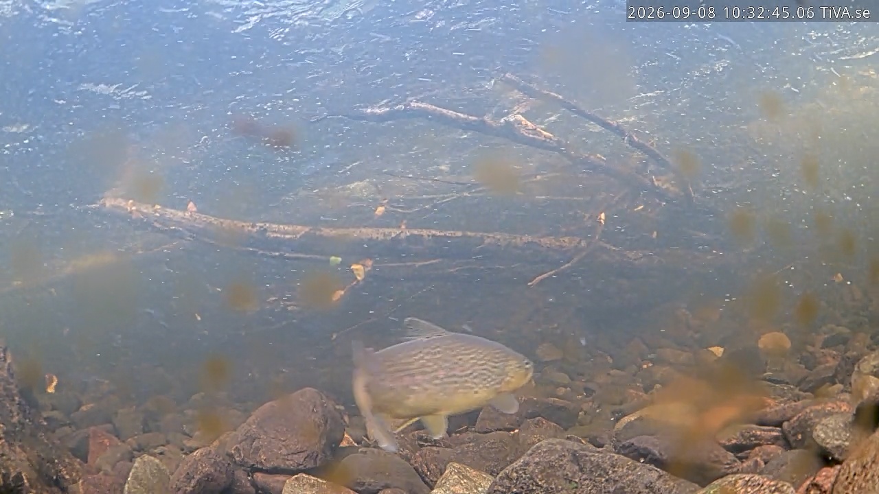 Video 2026-09-08 10:32