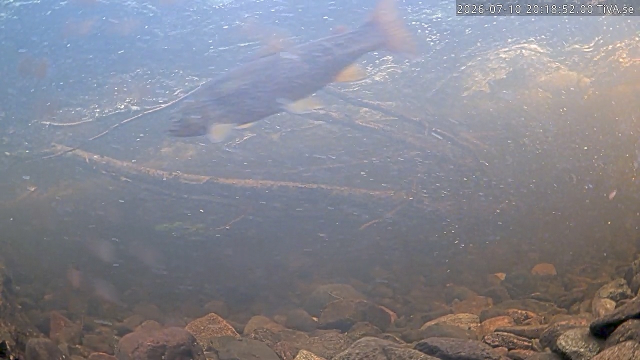 Video 2026-07-10 20:18
