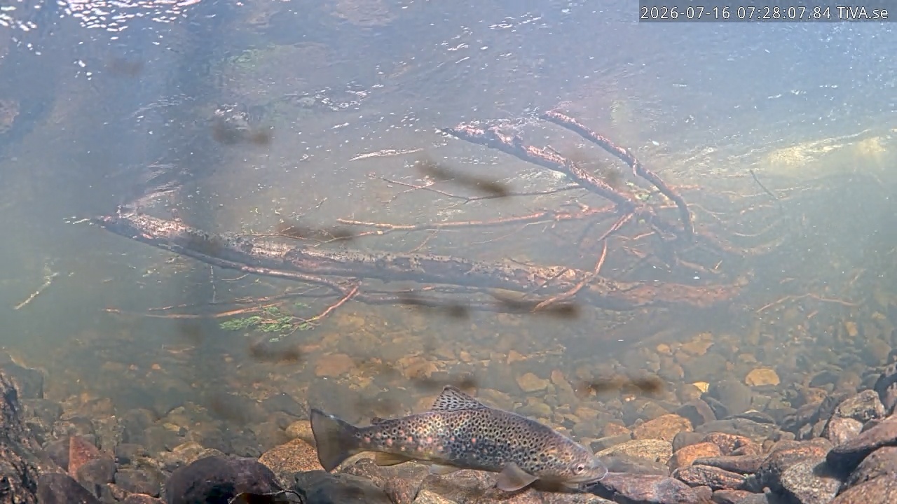 Video 2026-07-16 07:28