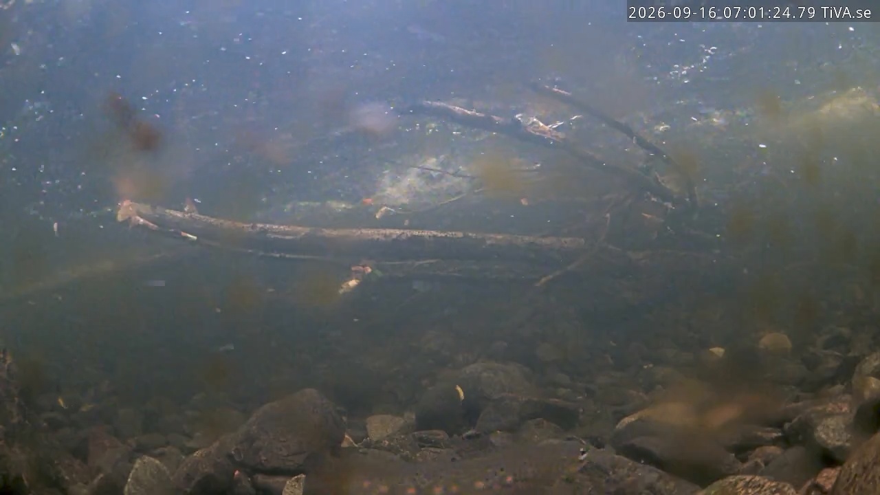 Video 2026-09-16 07:01