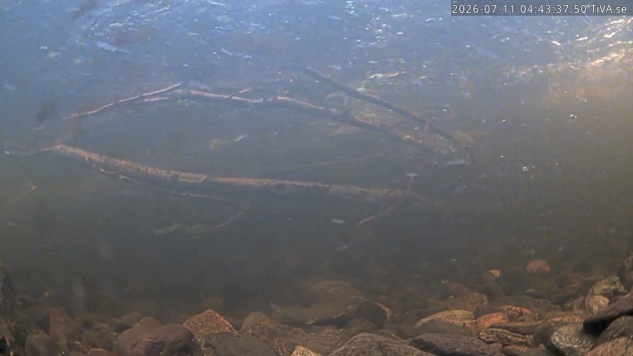 Video 2026-07-11 04:43