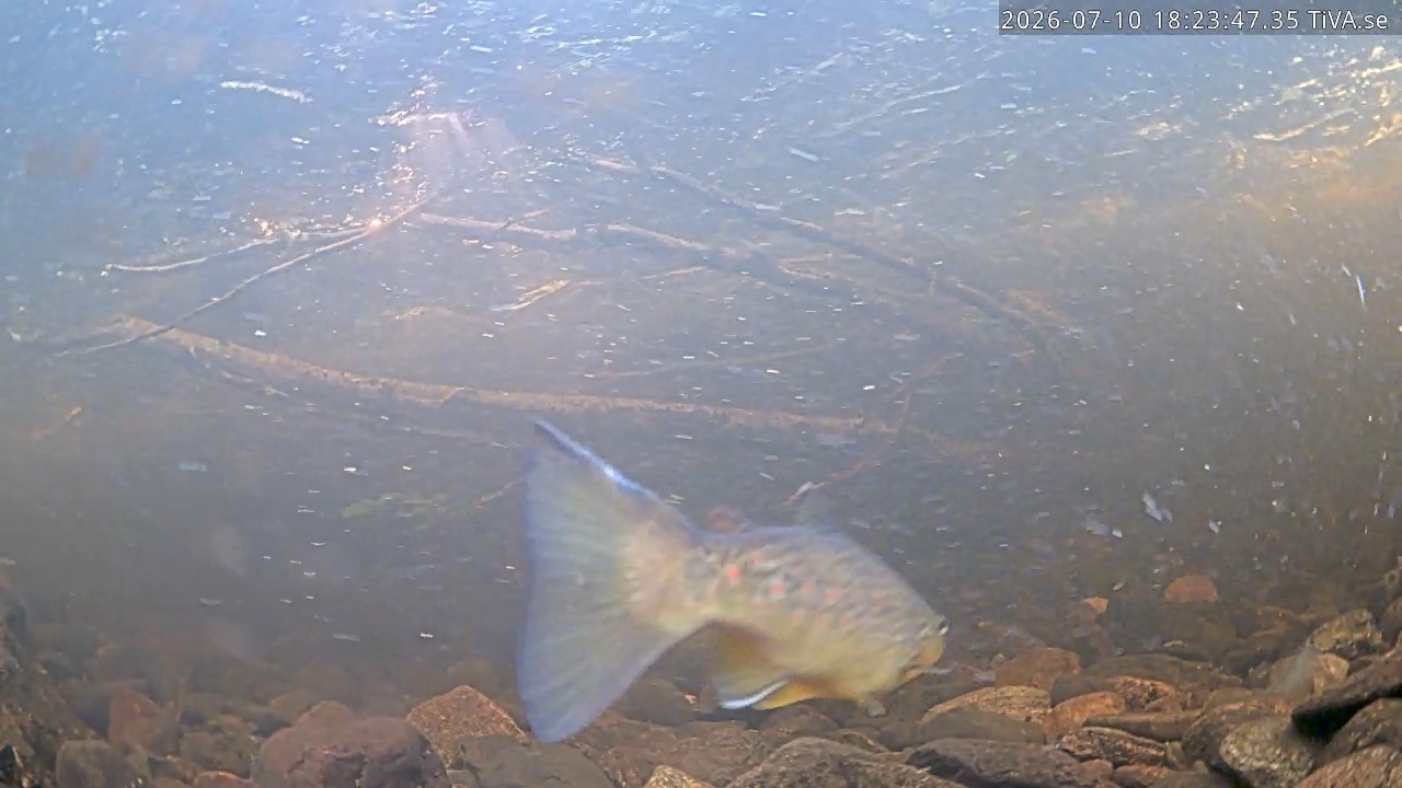 Video 2026-07-10 18:23