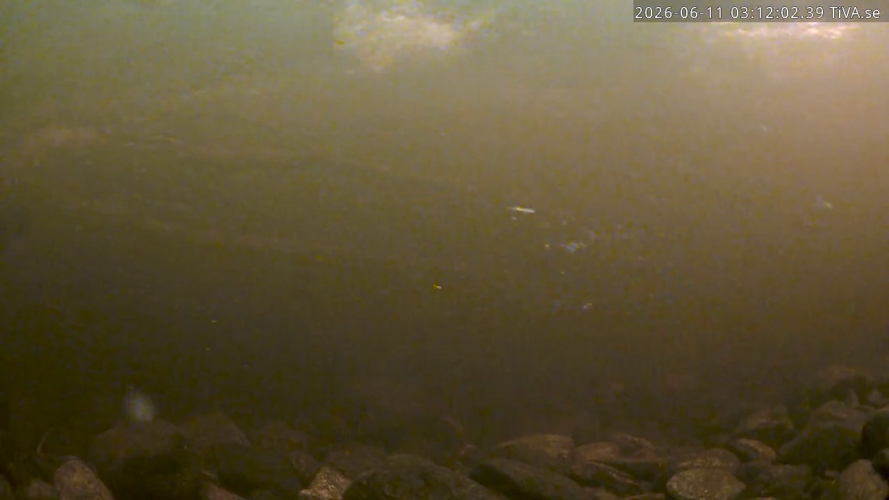 Video 2026-06-11 03:12